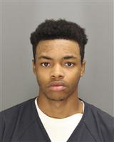 JUSTIN JAHMAD ANDERSON Photo / JUSTIN JAHMAD ANDERSON Images