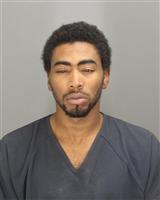 ALLANTI NOELLE MORRIS Photo / ALLANTI NOELLE MORRIS Images