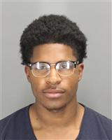 ARYN BRION MITCHELL Mugshot / Oakland County MI Arrests / Oakland County Michigan Arrests