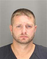 LOUIS CHRISTOPHER VESELY Mugshot / Oakland County MI Arrests / Oakland County Michigan Arrests