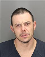 JAMES JOSEPH CARVER Mugshot / Oakland County MI Arrests / Oakland County Michigan Arrests