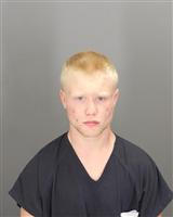 JUSTIN CHRISTOPHER HALL Mugshot / Oakland County MI Arrests / Oakland County Michigan Arrests