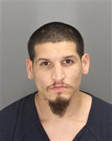 ANDREW JAMES SANCHEZ Mugshot / Oakland County MI Arrests / Oakland County Michigan Arrests