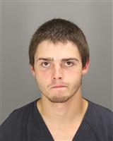 RYAN MITCHELL STOGIERA Mugshot / Oakland County MI Arrests / Oakland County Michigan Arrests
