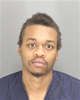 KEJUAN AARON RAMSEY Photo / KEJUAN AARON RAMSEY Images