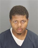 MARCO ANTONIO FREEMAN Photo / MARCO ANTONIO FREEMAN Images