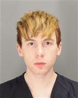 TYLER ISAAC FORGUSON Mugshot / Oakland County MI Arrests / Oakland County Michigan Arrests