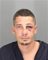 STEVEN  LIZARDI Mugshot / Oakland County MI Arrests / Oakland County Michigan Arrests