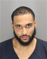 TRAVIS WARDELL FIZER Mugshot / Oakland County MI Arrests / Oakland County Michigan Arrests