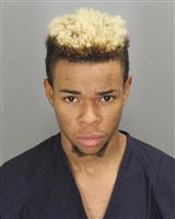 BRENDON LEE SUTTLES Photo / BRENDON LEE SUTTLES Images