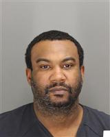 BRUCE ALLEN KING Photo / BRUCE ALLEN KING Images