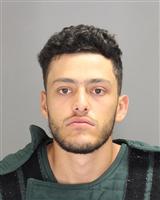 MEHDI R DIAB Mugshot / Oakland County MI Arrests / Oakland County Michigan Arrests