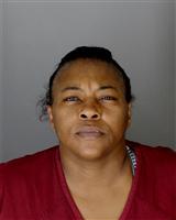 DEBRA LYNN ALLEN Mugshot / Oakland County MI Arrests / Oakland County Michigan Arrests