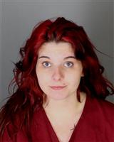 ANNA MARIE UPDEGROVE Mugshot / Oakland County MI Arrests / Oakland County Michigan Arrests