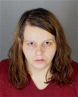 RACHEL ANN BALOG Mugshot / Oakland County MI Arrests / Oakland County Michigan Arrests