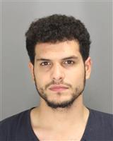 MOHAMMED JAMEEL ALFATLAWI Photo / MOHAMMED JAMEEL ALFATLAWI Images