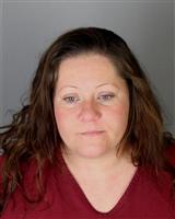 JOLYNN  DOMINGUEZ Mugshot / Oakland County MI Arrests / Oakland County Michigan Arrests