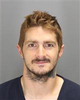 GRANT JASON SAYRANIAN Mugshot / Oakland County MI Arrests / Oakland County Michigan Arrests