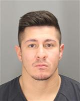 ALEXANDER  AYALA Mugshot / Oakland County MI Arrests / Oakland County Michigan Arrests