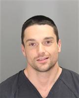 PAUL SEBASTIAN GRIGORAS Mugshot / Oakland County MI Arrests / Oakland County Michigan Arrests