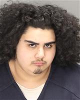 RAYVIN ALLEN RAMIREZ Mugshot / Oakland County MI Arrests / Oakland County Michigan Arrests