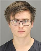 DREW EVAN MOCABEE Mugshot / Oakland County MI Arrests / Oakland County Michigan Arrests