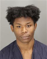 KILEY WHEAT FLEMING Mugshot / Oakland County MI Arrests / Oakland County Michigan Arrests