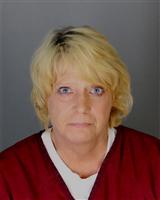 ROBYN LYNN BAUM Mugshot / Oakland County MI Arrests / Oakland County Michigan Arrests