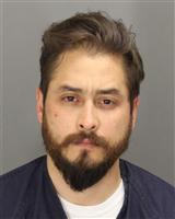 MANUEL ALEXANDER YARTORICCO Mugshot / Oakland County MI Arrests / Oakland County Michigan Arrests