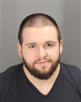 NATHAN CURTIS ANDERS Mugshot / Oakland County MI Arrests / Oakland County Michigan Arrests