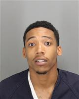 KALIN WALTER BURNS Mugshot / Oakland County MI Arrests / Oakland County Michigan Arrests