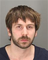 JOHN RYAN TAYLOR Photo / JOHN RYAN TAYLOR Images