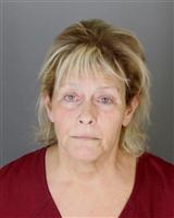 RONA LEVIN HOFFMAN Mugshot / Oakland County MI Arrests / Oakland County Michigan Arrests