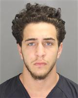 ALI HUSSEIN ABDALLAH Photo / ALI HUSSEIN ABDALLAH Images