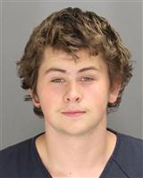 ROBERT MICHAEL HARMON Mugshot / Oakland County MI Arrests / Oakland County Michigan Arrests