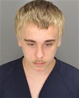 JEFFREY JOSHUA MULLINS Mugshot / Oakland County MI Arrests / Oakland County Michigan Arrests