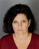 CHRISTINA LOUISE KOTSONIS Mugshot / Oakland County MI Arrests / Oakland County Michigan Arrests