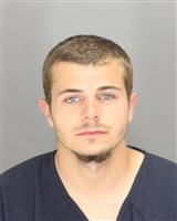 KYLE WAYNE COLE Mugshot / Oakland County MI Arrests / Oakland County Michigan Arrests