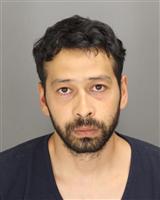 RANDAL ALAN NAVARRETE Mugshot / Oakland County MI Arrests / Oakland County Michigan Arrests