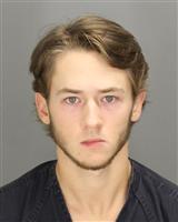 BRENDAN DANIEL TURNER Photo / BRENDAN DANIEL TURNER Images