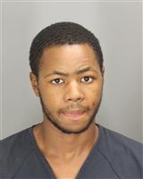 CORIELLE ARONE THOMPSON Photo / CORIELLE ARONE THOMPSON Images