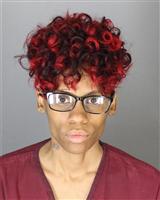LUKISHA SABRINA PATTON Mugshot / Oakland County MI Arrests / Oakland County Michigan Arrests