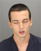 MADDUX MICHAEL FAULKNER Photo / MADDUX MICHAEL FAULKNER Images