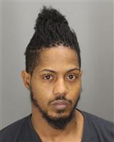 JIAVIDAE DEQUARIE BUNCH Photo / JIAVIDAE DEQUARIE BUNCH Images