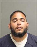 RAUL ADAN CASTRO Mugshot / Oakland County MI Arrests / Oakland County Michigan Arrests