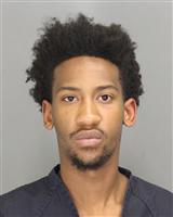 DESHAWN ALLAN JAYNES Photo / DESHAWN ALLAN JAYNES Images