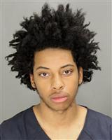 KAMERON MARCELLUS JOHNSON Mugshot / Oakland County MI Arrests / Oakland County Michigan Arrests