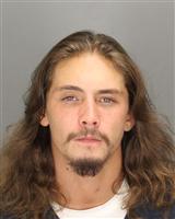 DUSTIN RYAN LARSON Mugshot / Oakland County MI Arrests / Oakland County Michigan Arrests