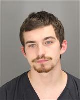 KYLE MICHAEL ZOAR Mugshot / Oakland County MI Arrests / Oakland County Michigan Arrests