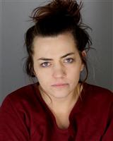 DANA ELIZABETH BURLEIGH Mugshot / Oakland County MI Arrests / Oakland County Michigan Arrests